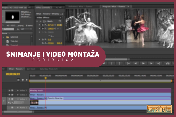 Grafika Snimanje i video montaža