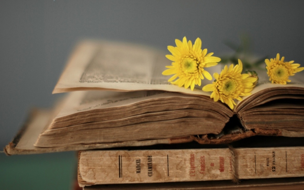 Yellow flowers on the old book
